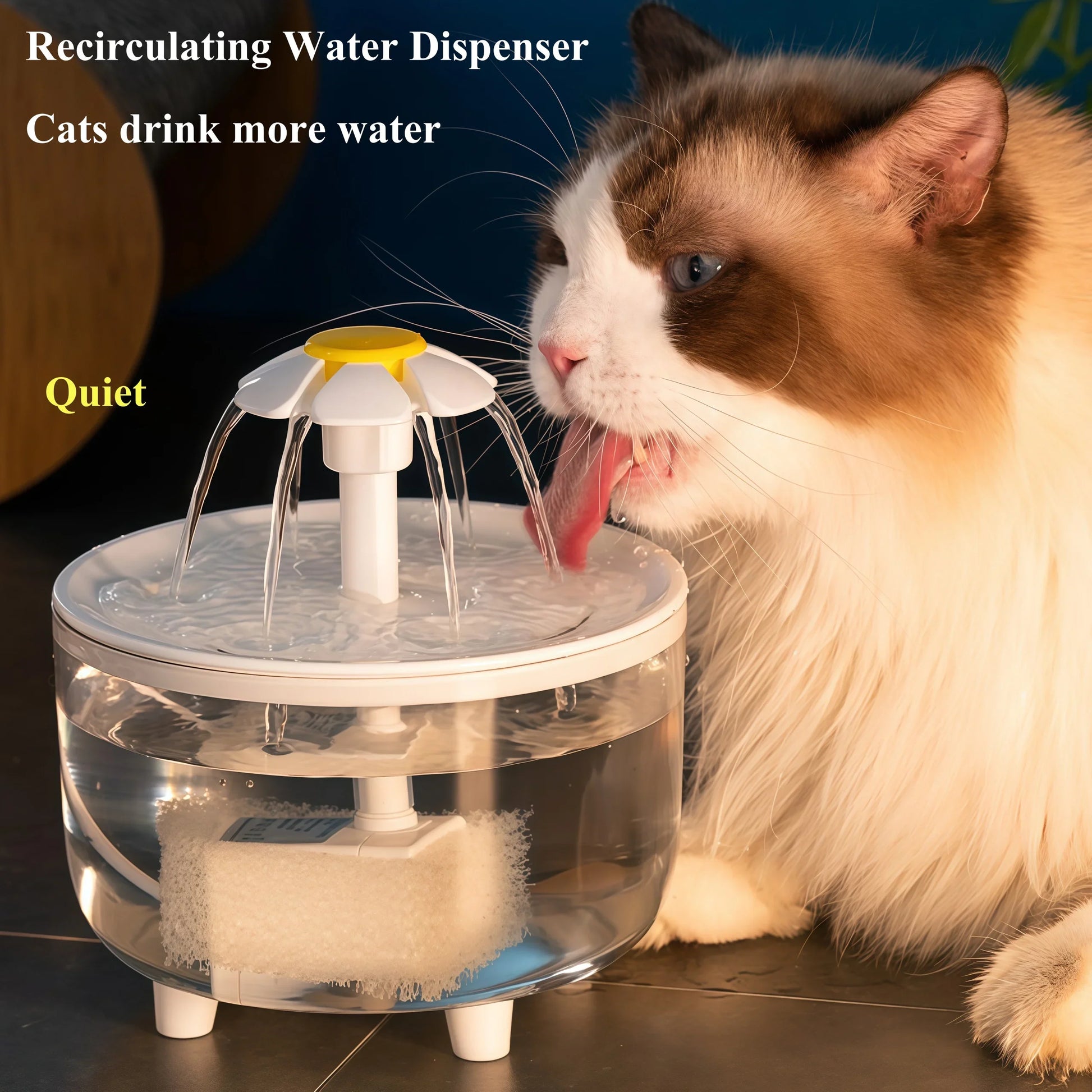 Automatic Cat Water Fountain with 1.2L Capacity & USB Charging | Easy Maintenance for Happy Cats 0